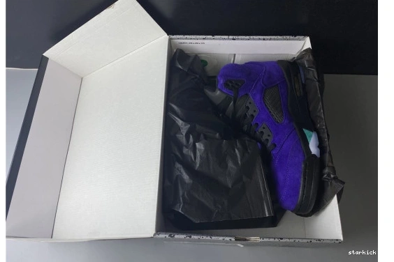 Air Retro Grape 5 Jordan Alternate 136027-500 136027-500 0911